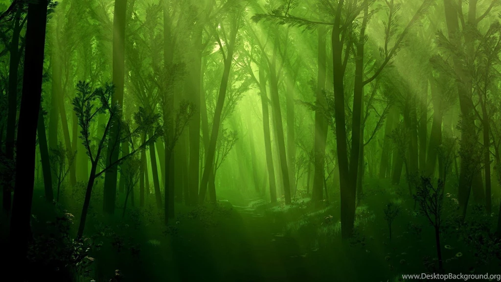 Dark Forest Wallpapers >> Backgrounds With Quality HD