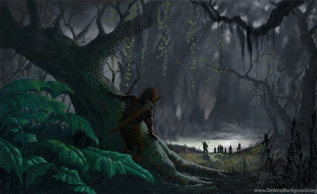 Dark Forest Path Wallpaper.