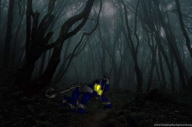 Dark Forest By AuraDragonxx On DeviantArt