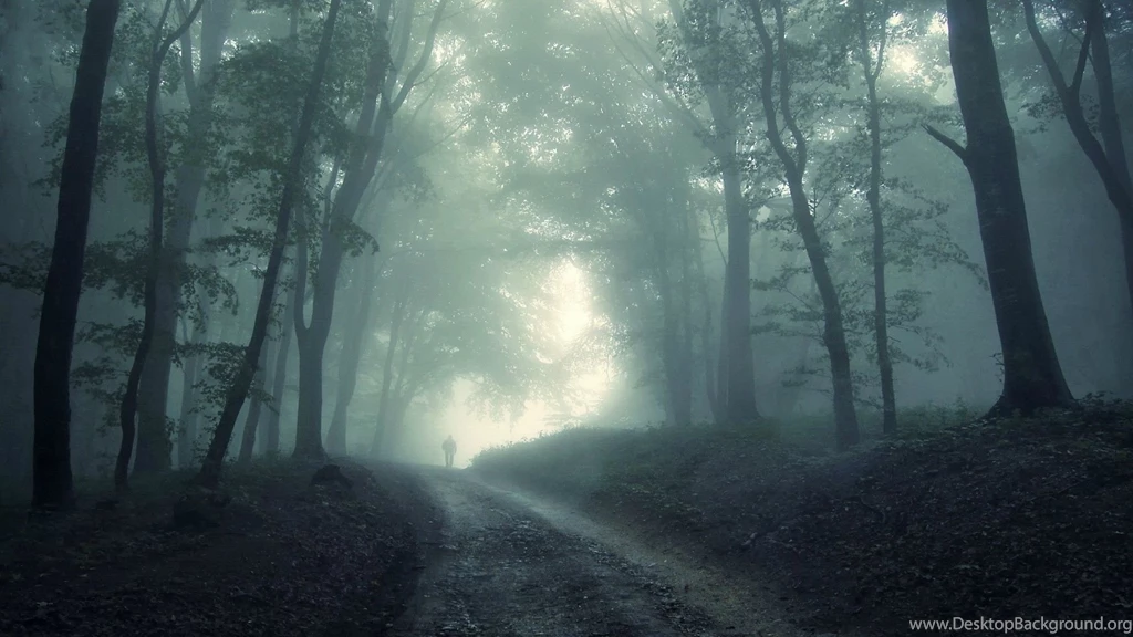 Forest Computer Wallpapers, Desktop Backgrounds