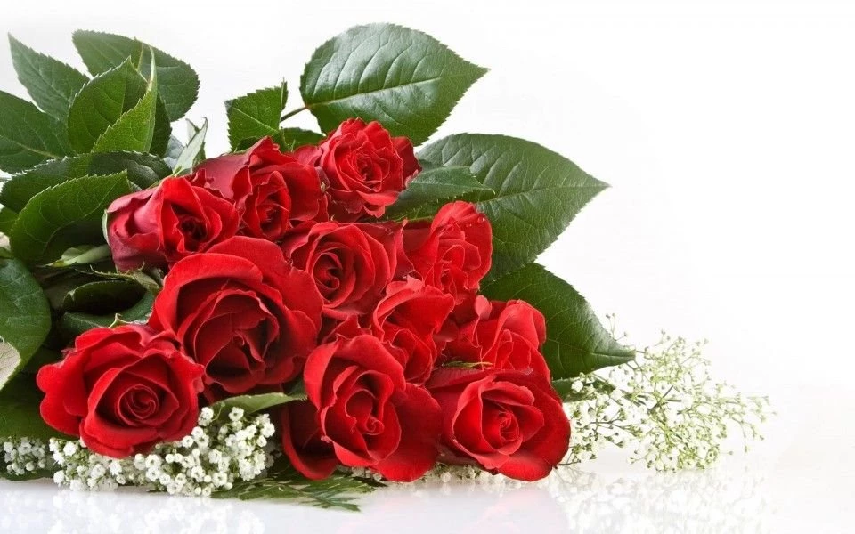 Most Beautiful Wallpapers Of Rose In The World Share With All ...