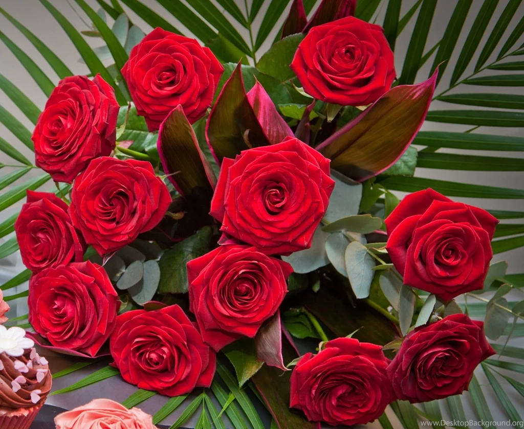 Yellow Rose Free Wallpaper: Pictures Of Red Roses