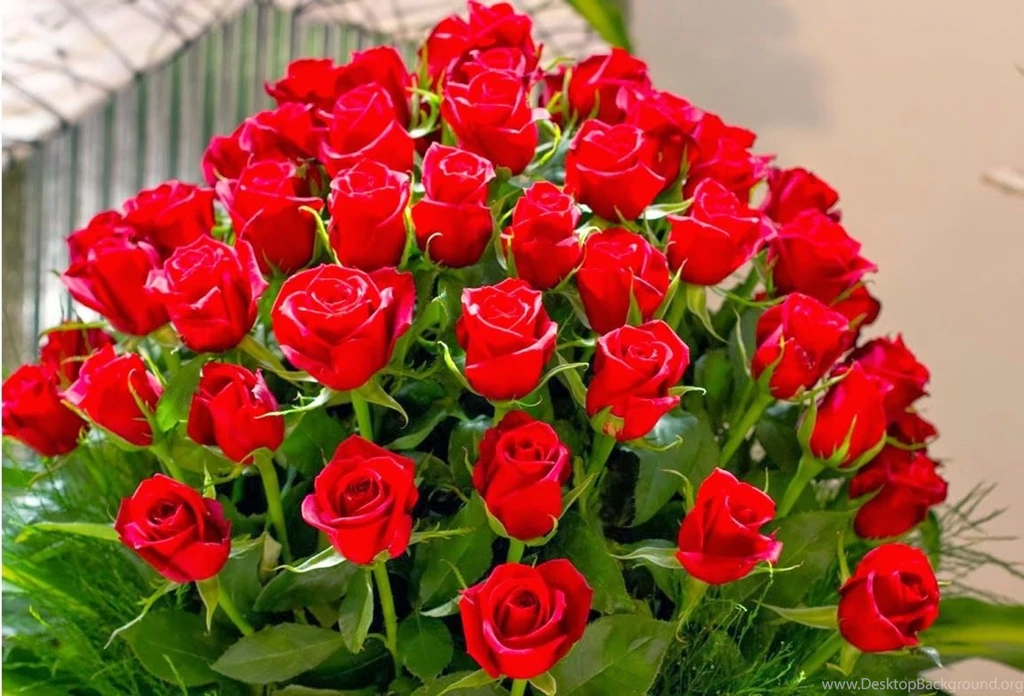 Happy Rose Day 2016 Images With Quotes HD Download Best Whatsapp ...