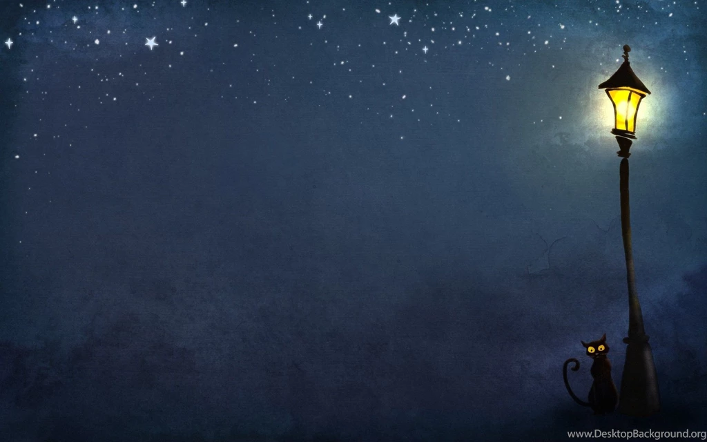 Lantern Night Cat Art HD Wallpapers   FreeWallsUp