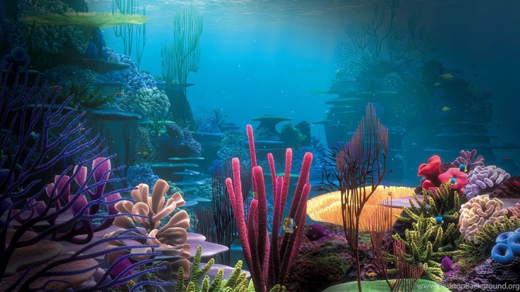 Finding Nemo Desktop Wallpapers In HD Animations Movie In 3D
