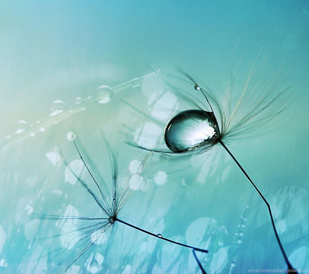 2560x1600px Galaxy Wallpapers HD Quality