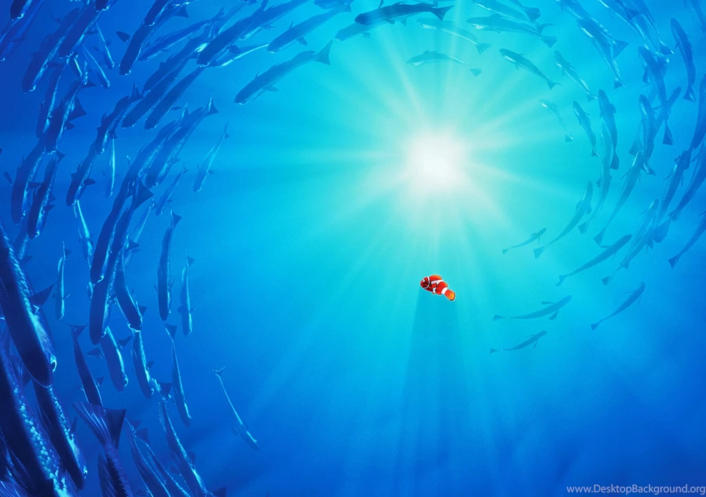 FINDING NEMO Animation Underwater Sea Ocean Tropical Fish ...