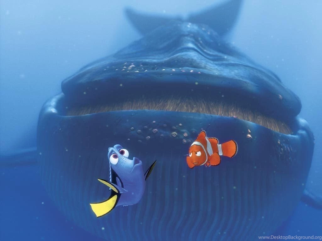 Finding Nemo Wallpapers Finding Nemo Wallpapers (6248849) Fanpop