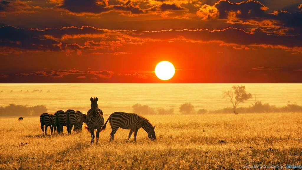 Wildlife Backgrounds For Desktop Wallpapers Cave