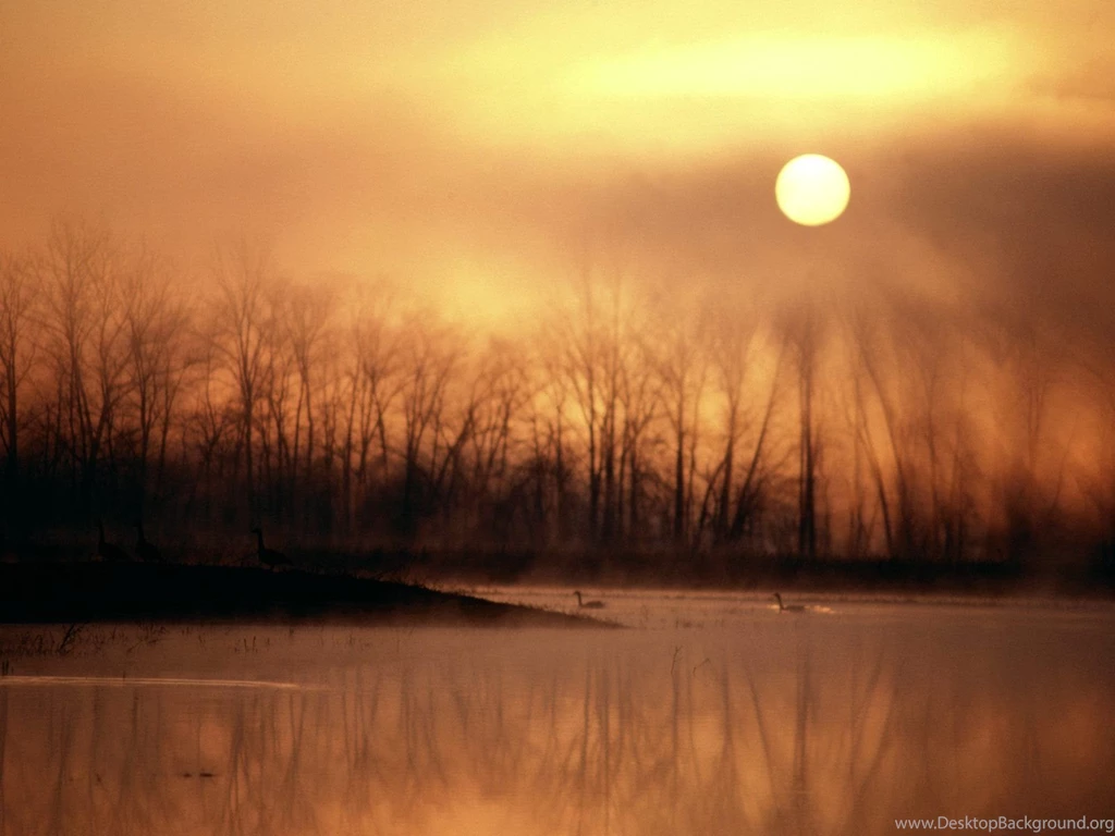 Free Screensavers And Wallpapers   7Screensavers.com