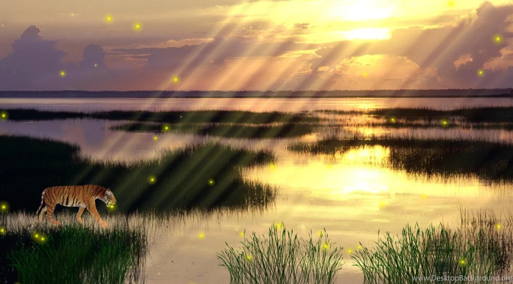 Download Animal Wildlife Screensaver