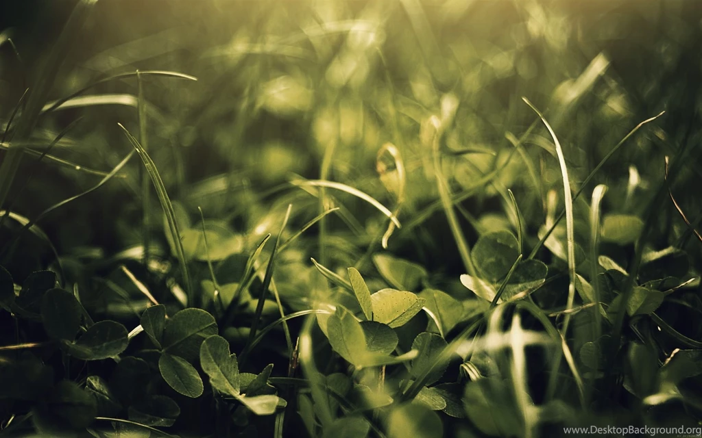 Theme Bin» Blog Archive » Summer Again HD Wallpapers