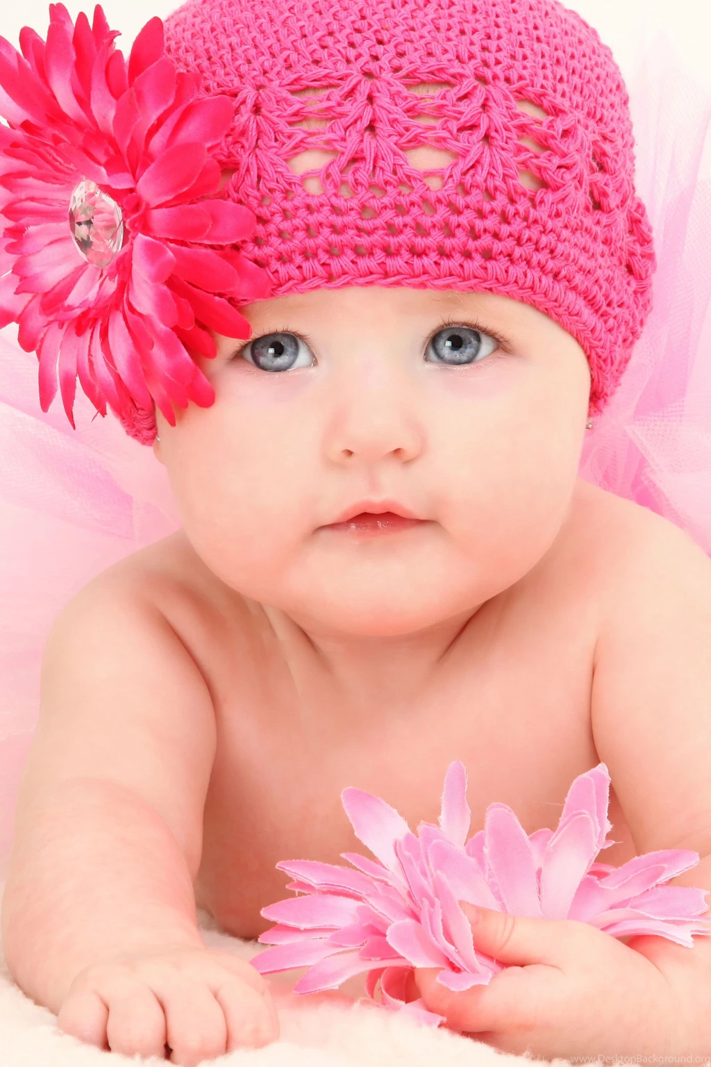 Lovely Cute Baby Wallpapers