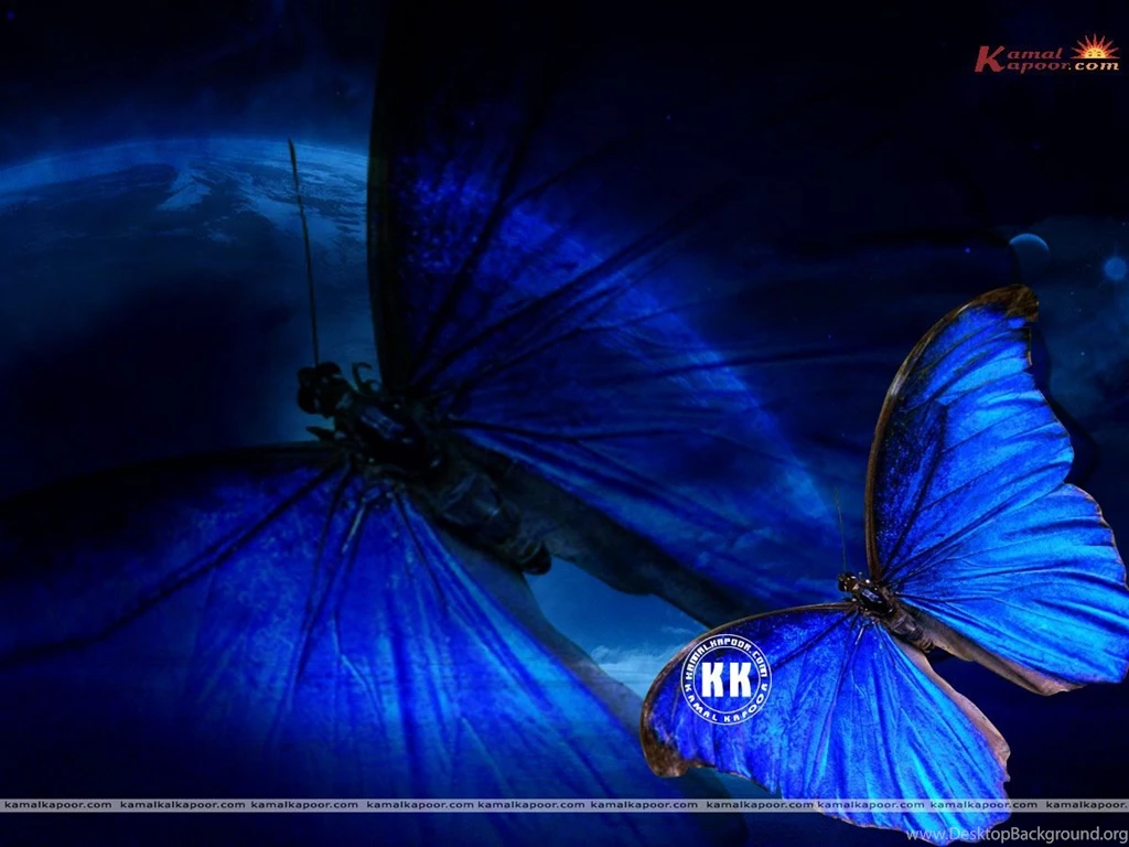 Blue Color Wallpapers, Blue Wallpapers Gallery, Blue Color Images ...