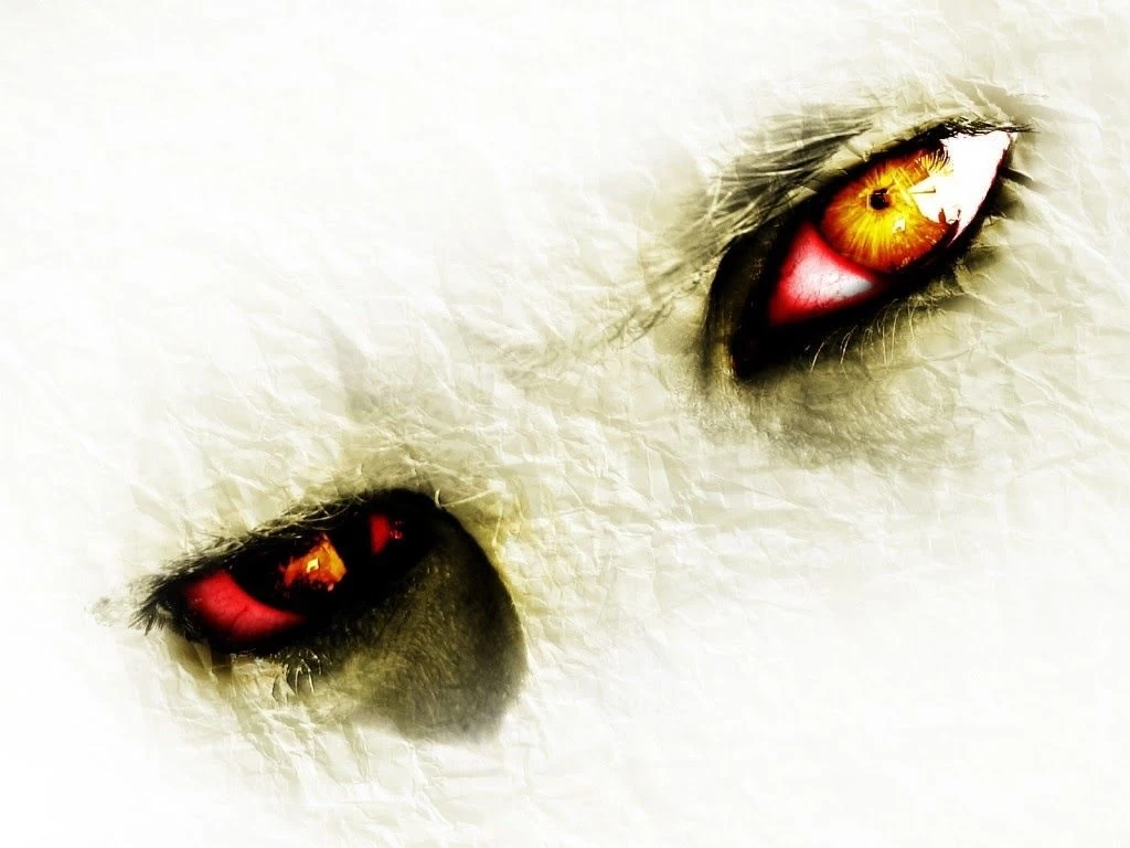 Wallpapers: New Cool Wallpapers