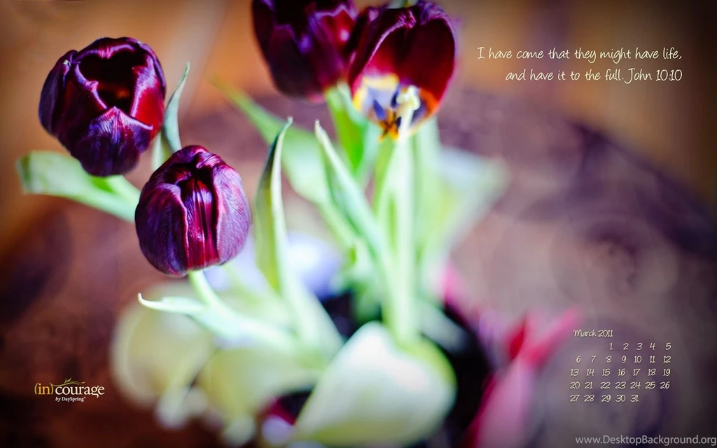 Impress Moment: MaRCH 2011 DeSKToP CaLeNDaR WaLLPaPeR