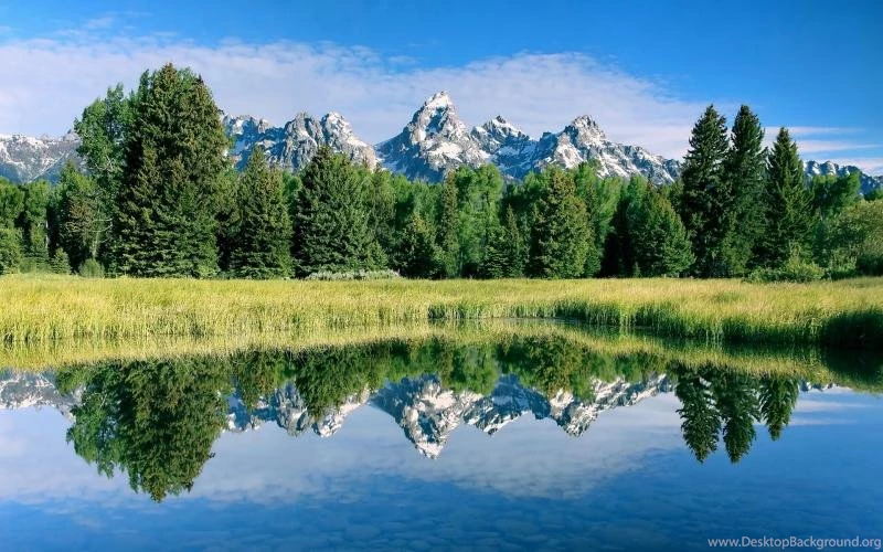 Stunning Scenery, Mountains, Lake, Plants, Trees, Water Reflection ...