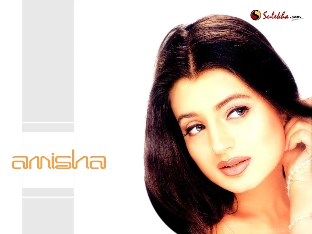Amisha Patel Hindi Wallpaper, Amisha Patel Desktop Picture, Amisha ...