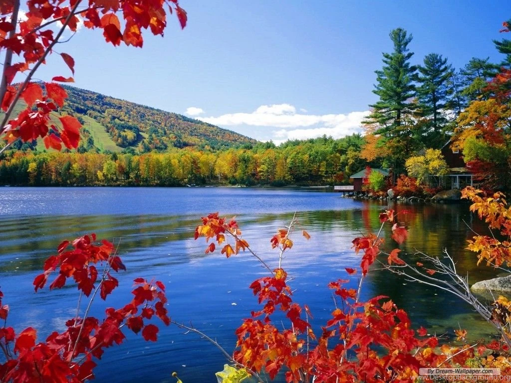 Nature Free Wallpapers HD Wallpapers Lovely
