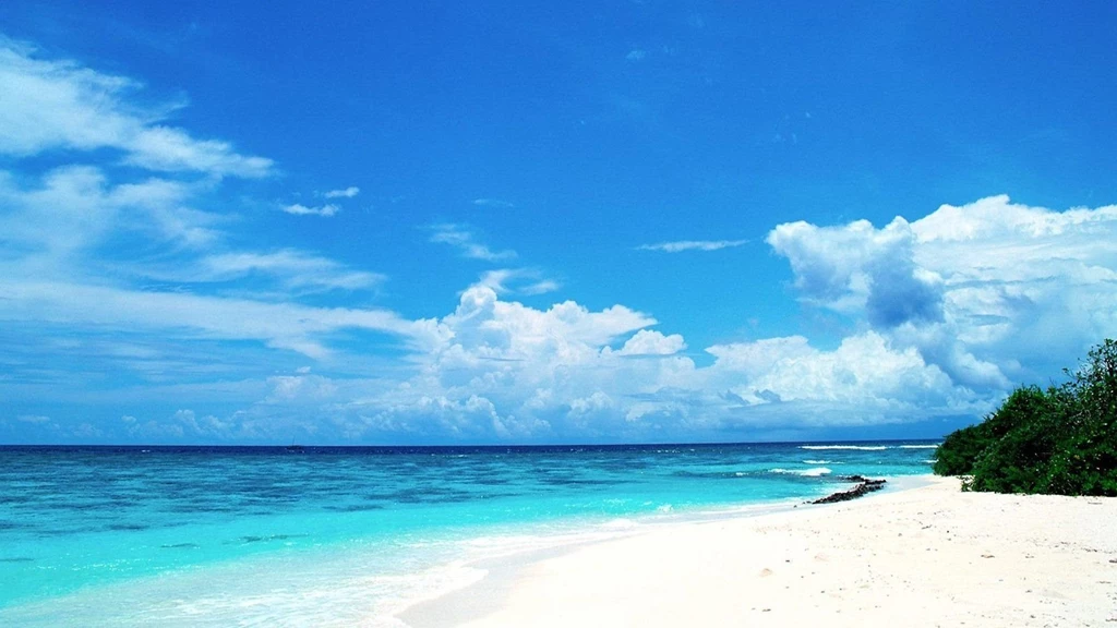 Beach HD Live Wallpapers   Android Apps And Tests   AndroidPIT