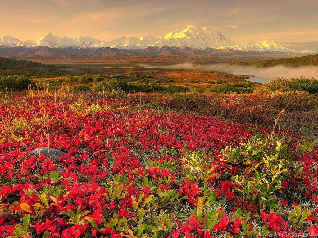 Spring Landscape Desktop Wallpapers