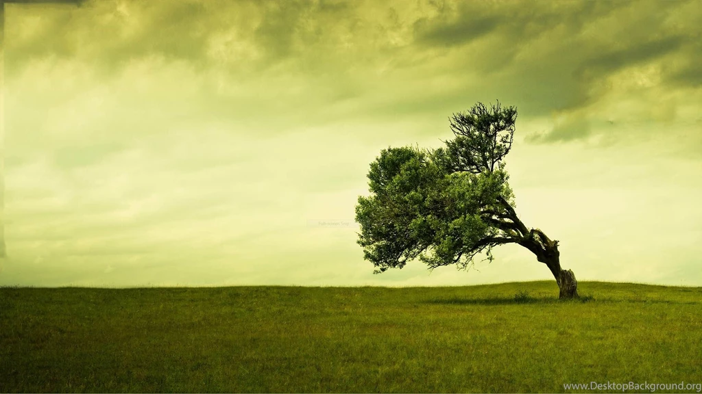 22 BEST WALLPAPERS FREE TO DOWNLOAD..... Godfather Style