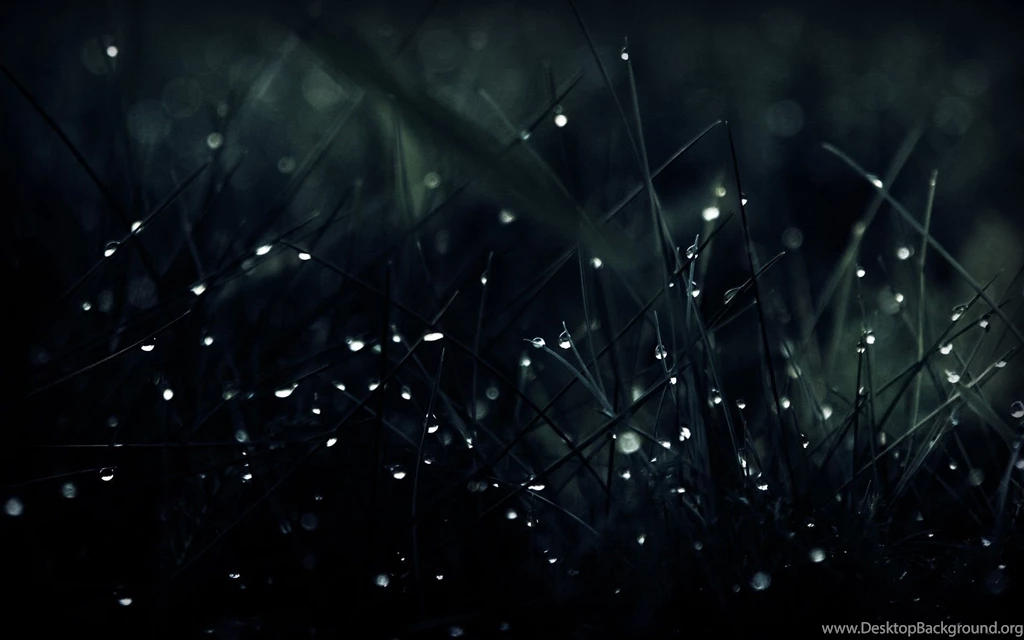 Best Wallpapers STAY072
