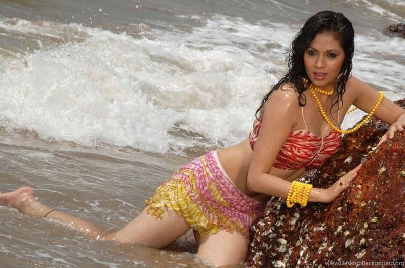 All Indian Actresses  Bollywood Actress Hot Sadha Mohammed Syed ...