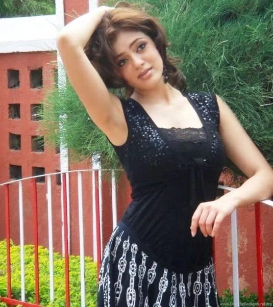 South Indian Actress Parvati Melton Hot Wallpapers Gallery  All ...