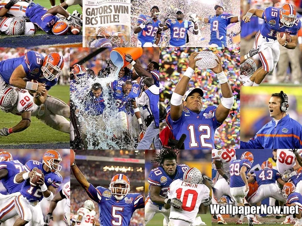 Wallpapernow.net » UF Gator Football Championship Wallpapers