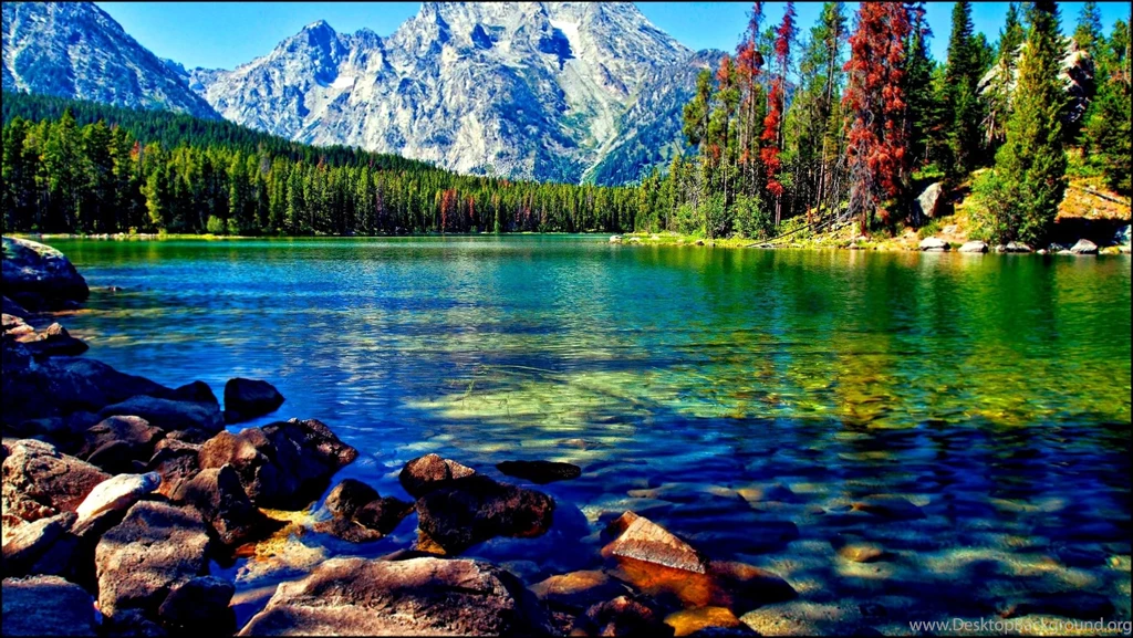 Beautiful Desktop Wallpapers Free Download 5 Items