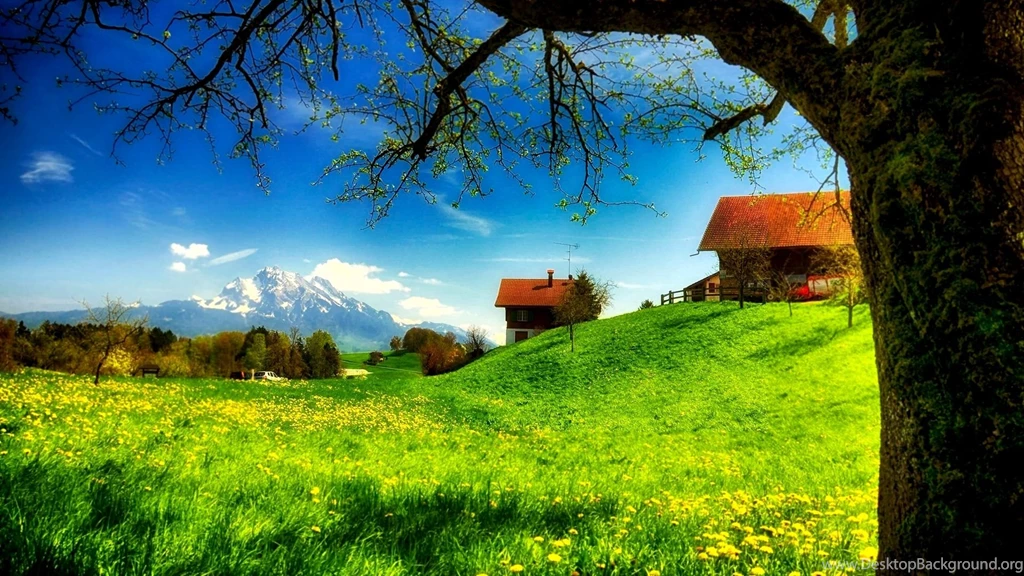 Beautiful Desktop Wallpapers Free Download   5 Items