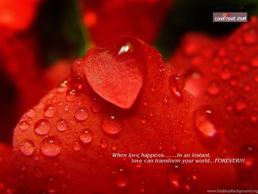 Santabanta Love Wallpapers All Wallpapers New
