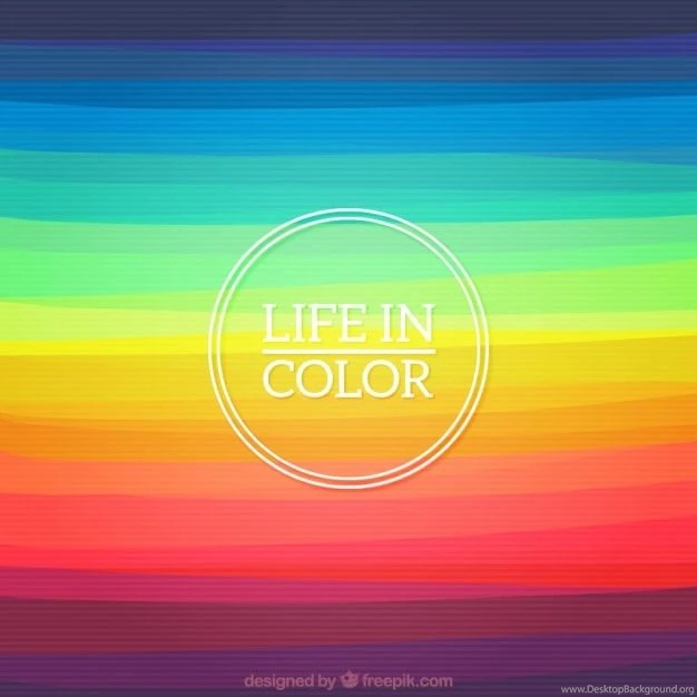 Colorful Vectors, Photos And PSD Files
