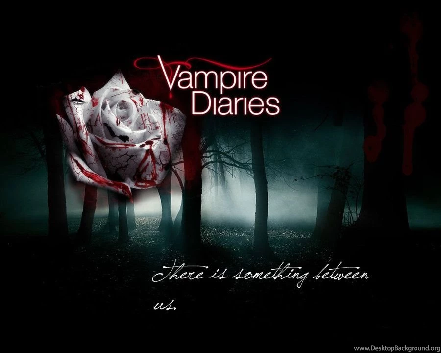 The Vampire Diaries HaleyDewit Wallpapers (29694969) Fanpop