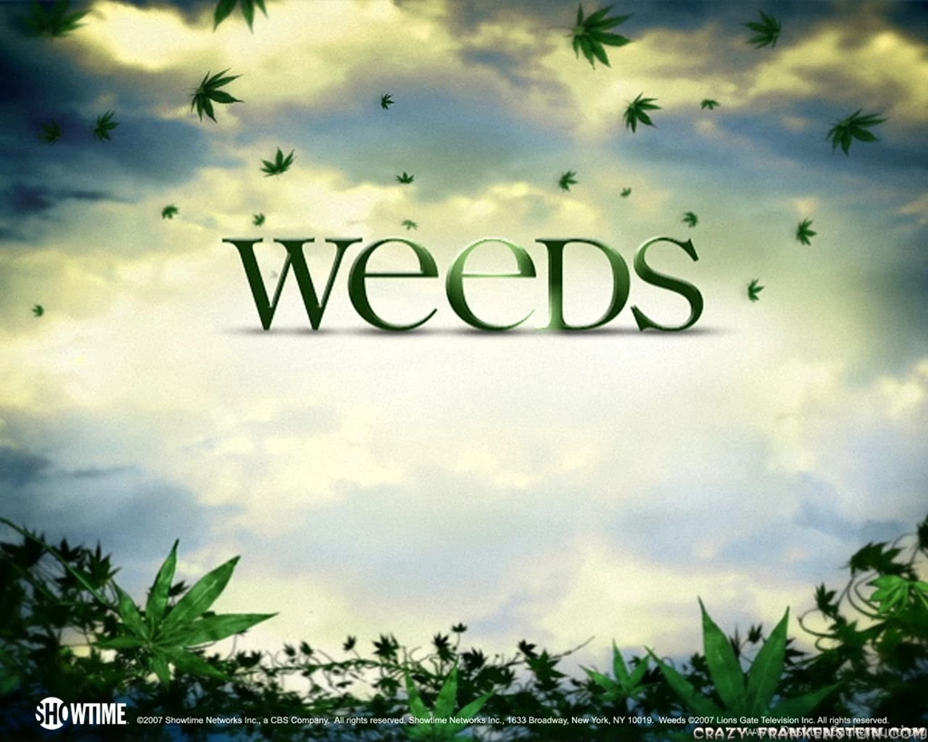 Weeds Wallpapers   TV Series   Crazy Frankenstein