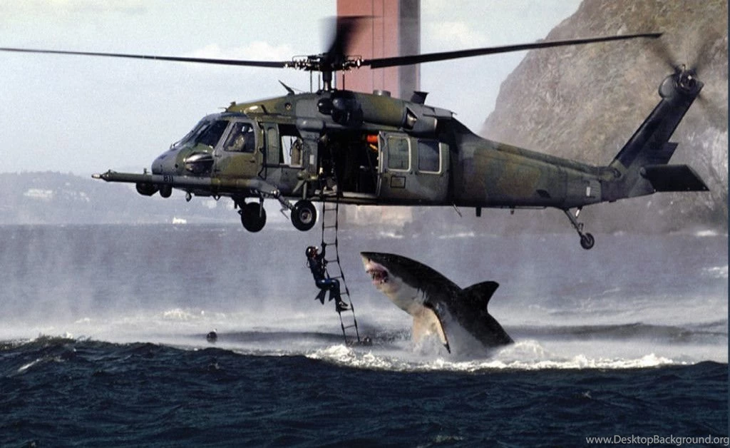 Download White Shark Attacking Diver Helicopter Pictures Wallpapers ...