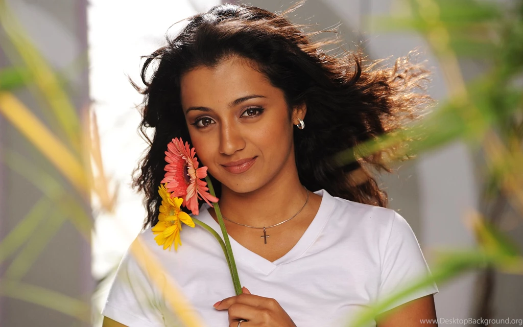 Wallpapers Tagged With TRISHA