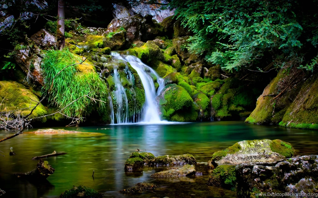 COMPUTER WALLPAPER SITES NANOWALLPAPER