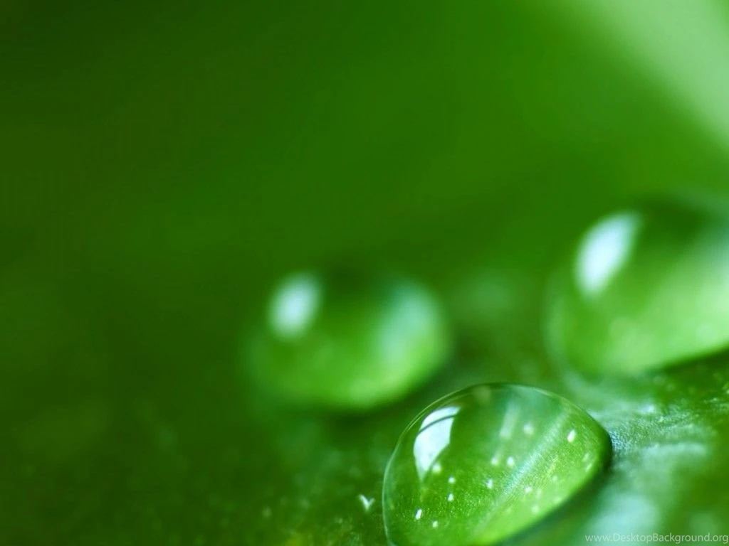 Up Close Water Droplet Wallpapers HD Wallpapers