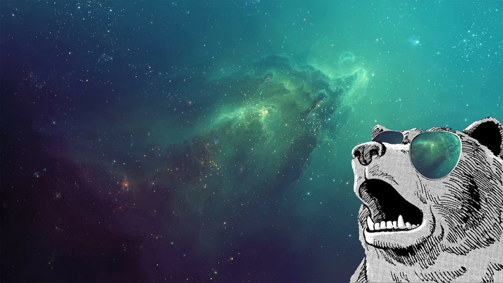 Bears Outer Space Sunglasses Wallpapers