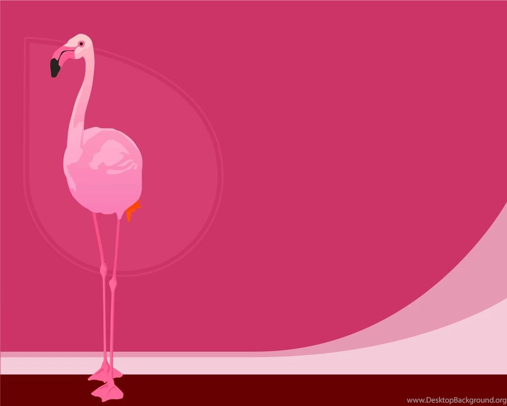 Cartoon Flamingo Wallpapers