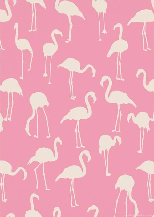 Seriously,I Have An Obsession W/ Flamingos, Pineapples & Donuts ...