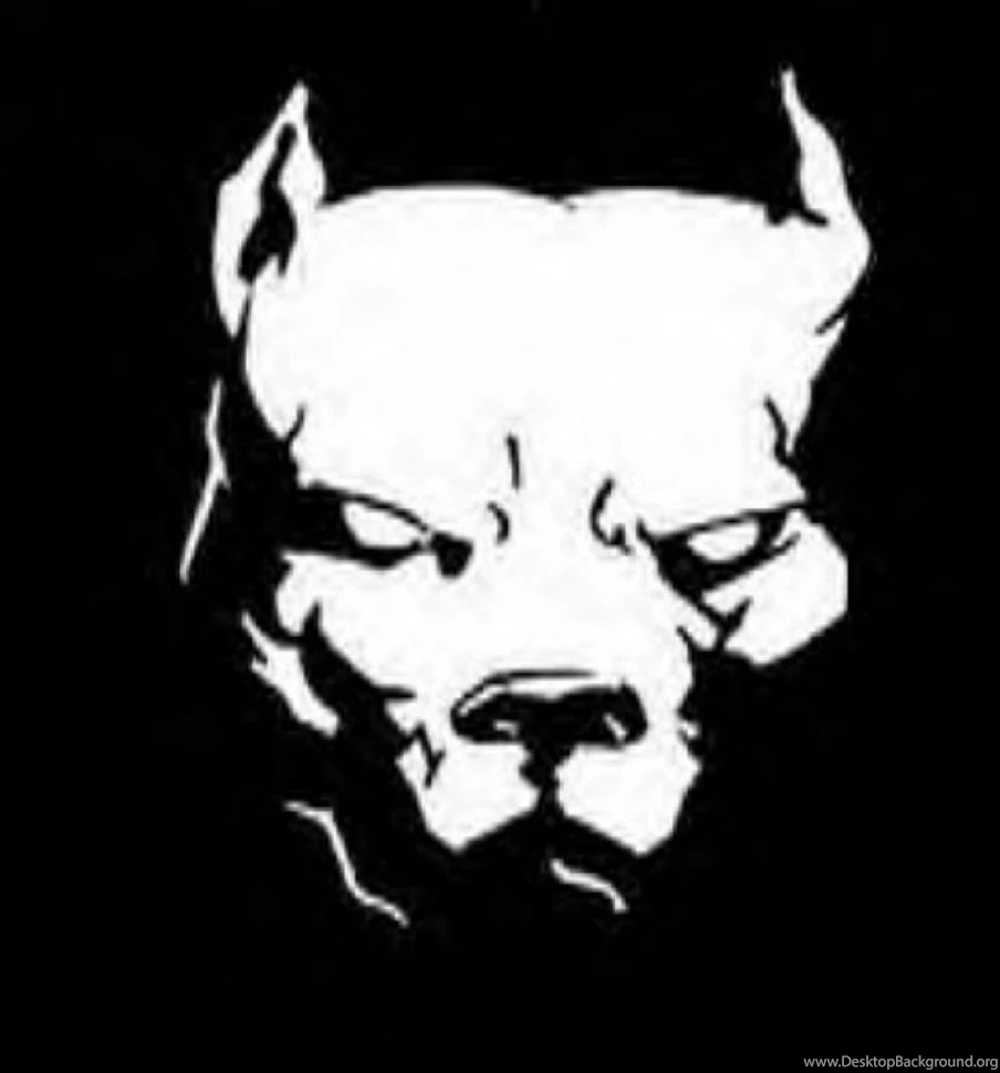 Pitbull Wallpapers