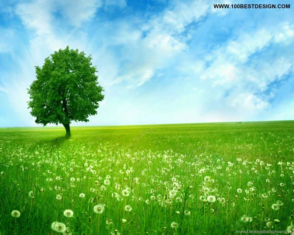 40 Top 100 nice nature desktop wallpaper and backgrounds ...