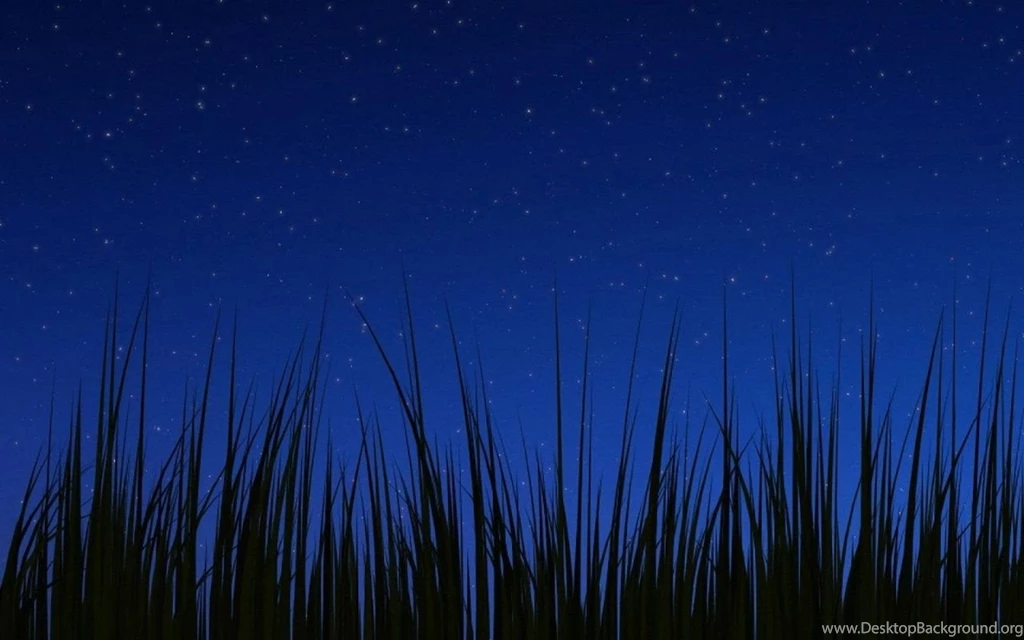 1280x800 Android 3.0 Night Wallpapers Desktop PC And Mac Wallpapers