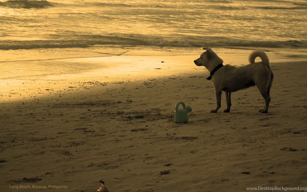 Long Beach Boracay Wallpapers By DaAnRo On DeviantArt