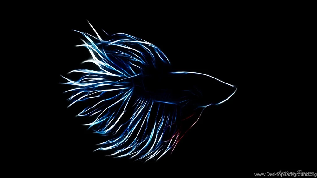 Betta Splendens   Photoshop Fractalius By Mczero On DeviantArt