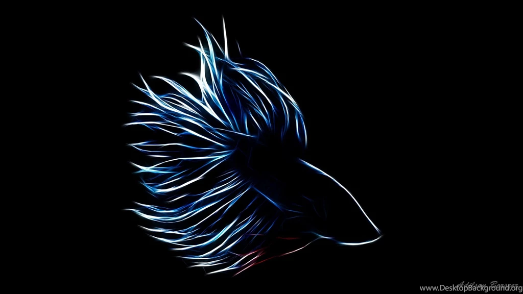 Betta Splendens   Photoshop Fractalius By Mczero On DeviantArt