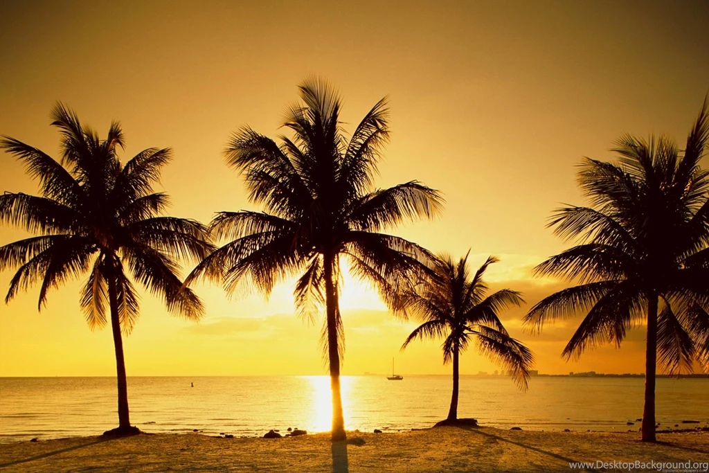 30+ Cool And Elegant Tumblr Backgrounds